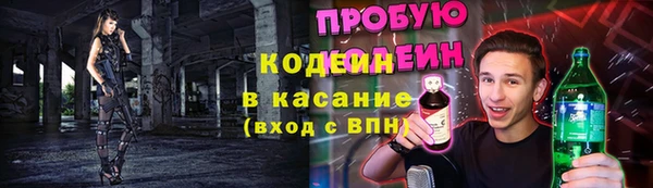тгк Ладушкин