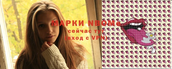 крисы Лабытнанги