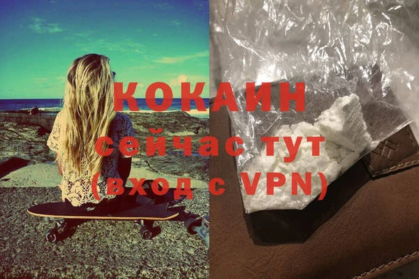 ГАЛЛЮЦИНОГЕННЫЕ ГРИБЫ Лагань