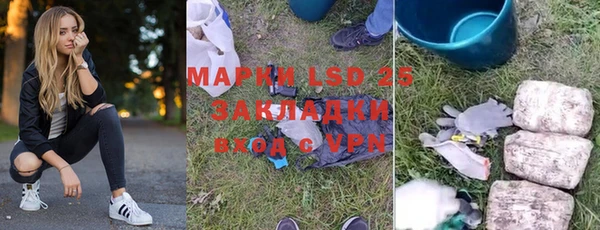 ГАЛЛЮЦИНОГЕННЫЕ ГРИБЫ Лагань