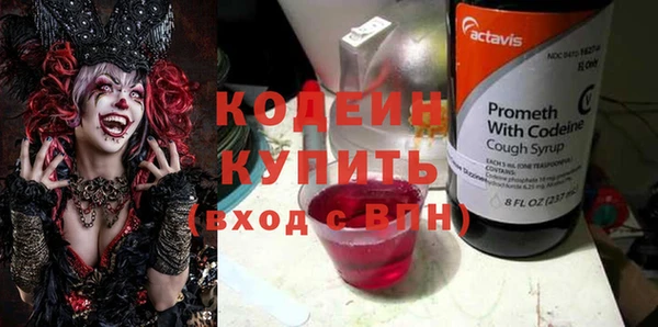 крисы Лабытнанги
