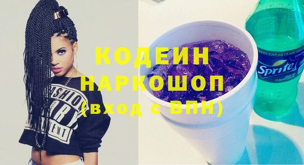 крисы Лабытнанги
