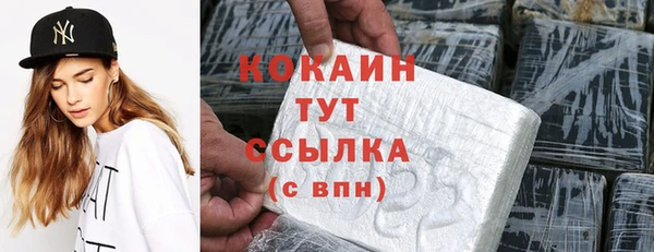 тгк Ладушкин