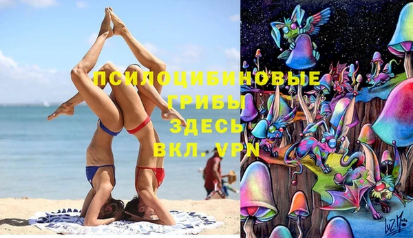 ГАЛЛЮЦИНОГЕННЫЕ ГРИБЫ Лагань